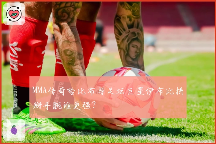 MMA传奇哈比布与足坛巨星伊布比拼掰手腕谁更强？