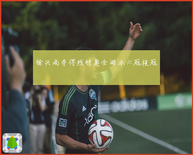 徐兴尚夺得残特奥会游泳六冠桂冠