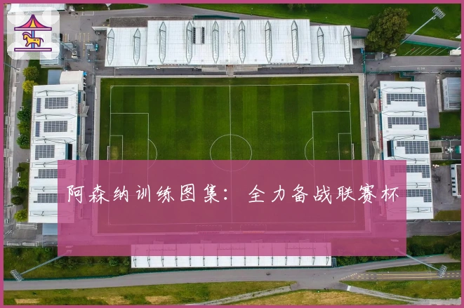 阿森纳训练图集:全力备战联赛杯