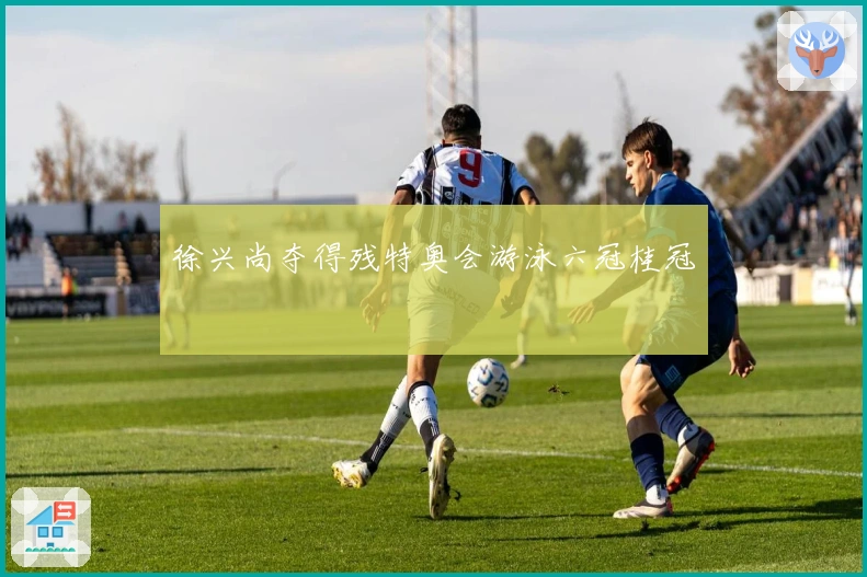 徐兴尚夺得残特奥会游泳六冠桂冠