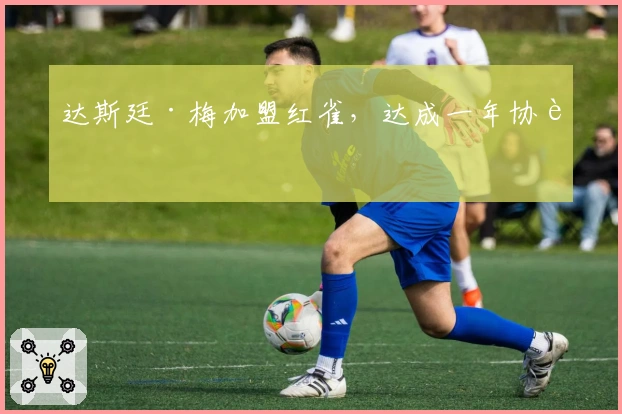 达斯廷·梅加盟红雀，达成一年协议